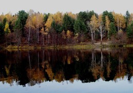 Herbstfarben / ***