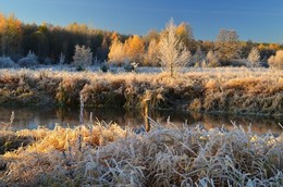 Herbstmorgen / ***