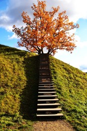 Herbst in Kernave / ***