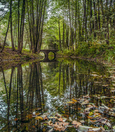 Die Brücke im Park / ***