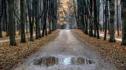Wet November ... / ***