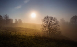 Nebel und Sonne / ***
