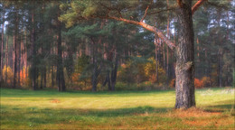 Herbst-Tag auf dem Neman / ***