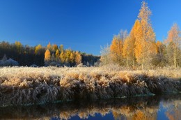 Goldener Herbst / ***