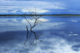 Auf dem See / ***