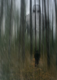 Treffen im Wald ... / ***