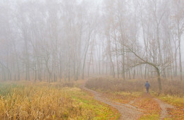 Herbst / ***