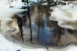 Reflection November. / ***