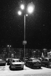 Der letztjährige Schnee fiel ... / ***