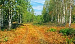 Am Rande des Waldes / ***