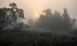Welt Herbst / ***