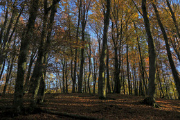 Krim-Gebirge Herbst / ***