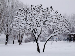 Der erste Schnee / ***