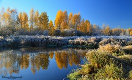 Herbst-Motive / ***