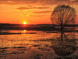 See Pleshcheyevo / ***