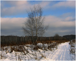 Winter / ---