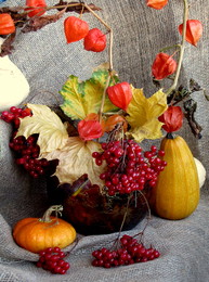 Still Life / ***
