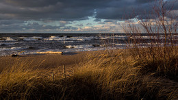 Premonition des Winters / ***