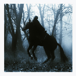 Sleepy Hollow / ***