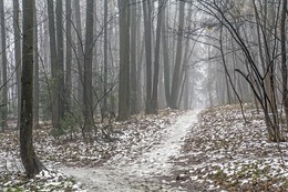 Spätherbst / ***