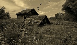 Verwüstung / ***