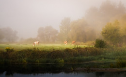 Autumn Pastoral / ***