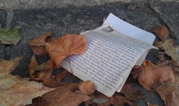 Blätter und Blätter / ***