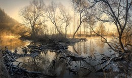 Muster des Winters / ***