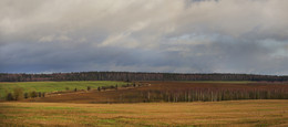 Die November-Pastorale / __________---