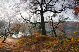 Im Herbst Verlassen / ***