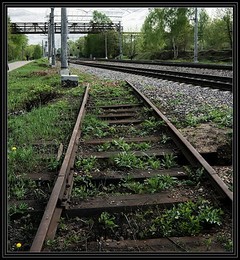 Schicksalslinien / ***
