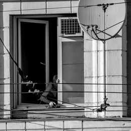 Schicksalslinien / ***