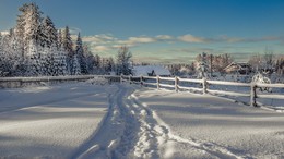 November Vologda ... / ***