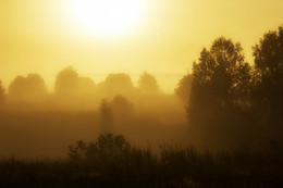 Am Morgen / ***