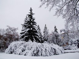 Ein Wintermärchen / ***