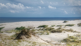 Düne und Meer / ***