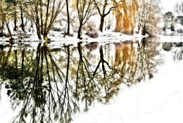 Winter / ***