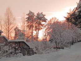 Winterschlaf der Natur schläft / ***