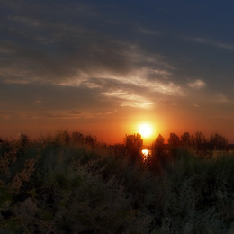 Morgendämmerung / ***