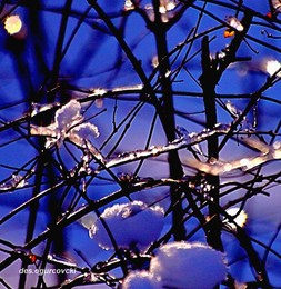 abends / ***