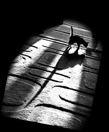 Katze und Maus ... / ***