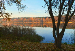in der Stille des Herbstes / ***