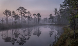 Stille breitet sich Nebel. / ***