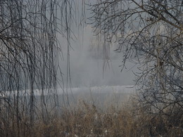 Der Nebel ... Nebel ... / ***