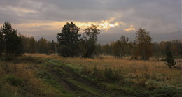 Roads of the Fall / ***
