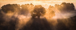 Mist geheimen Tiefen ... / ***