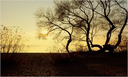Der Drache und das Sonnenuntergang / ***