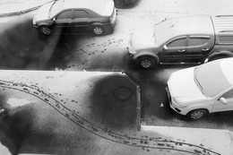 Der Blick aus meinem Fenster / ***