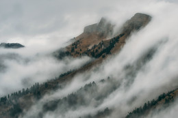 Rund um den Nebel, der Nebel! / ***