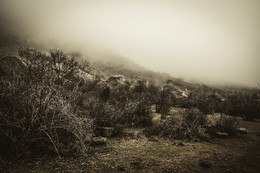 Misty weather / ***